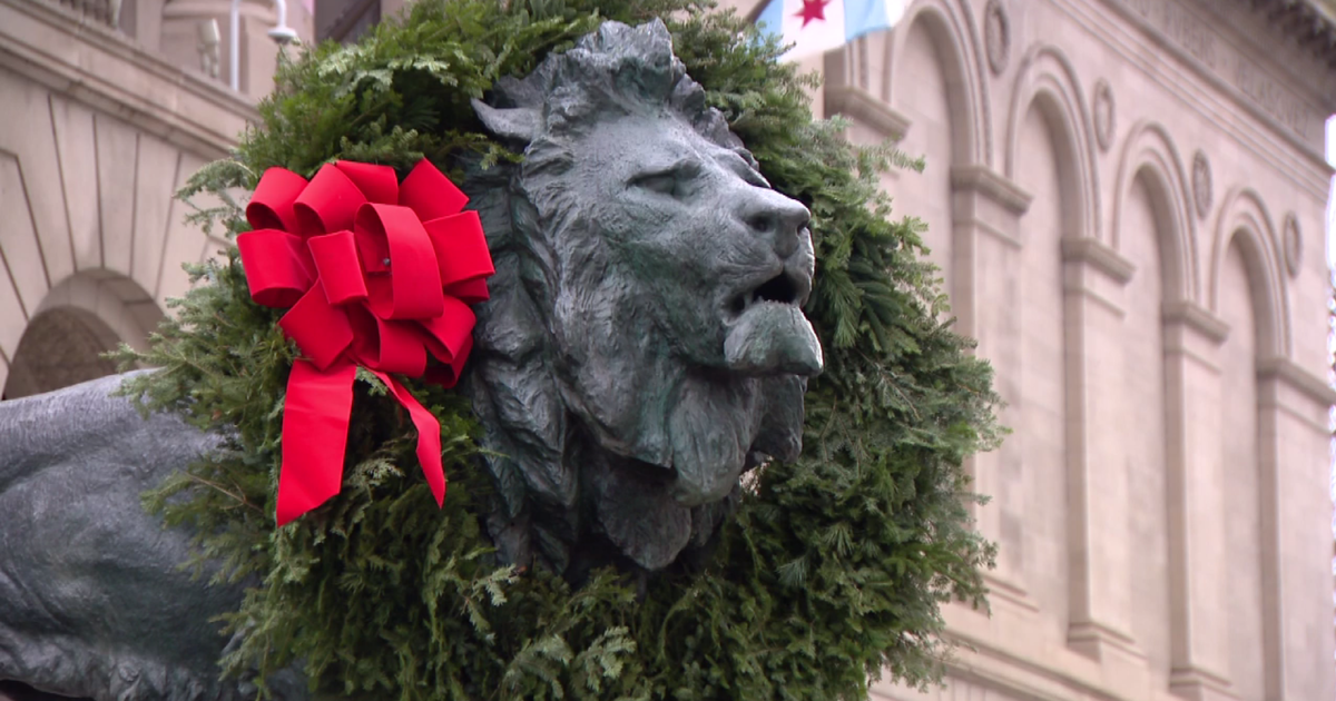 Chicago's Festive Lions: Ready for the Holidays!